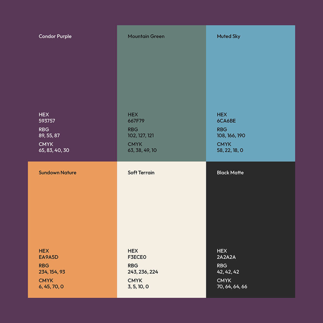 Color palette showcasing six shades with their corresponding HEX, RGB, and CMYK values, color names for each color for Condor Growth.